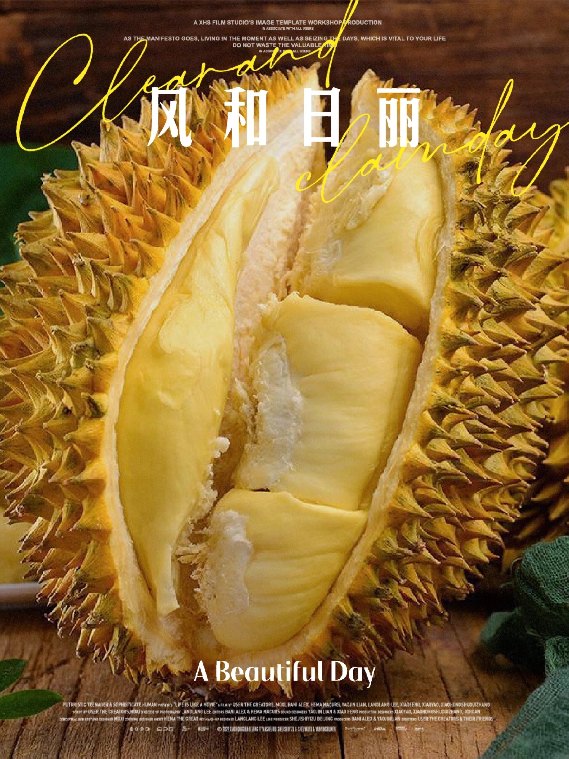 看点 第4页