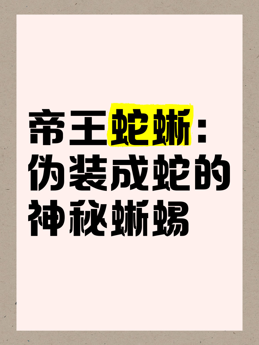 帝王蛇蜥一般吃什么
