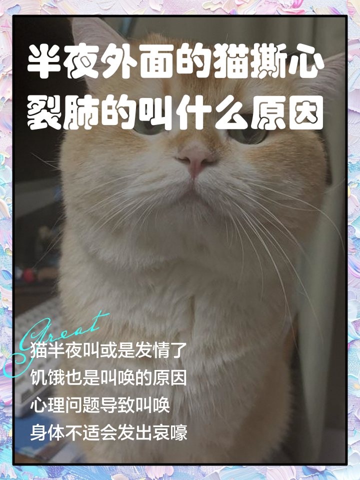 凌晨1一2点猫叫忌讳